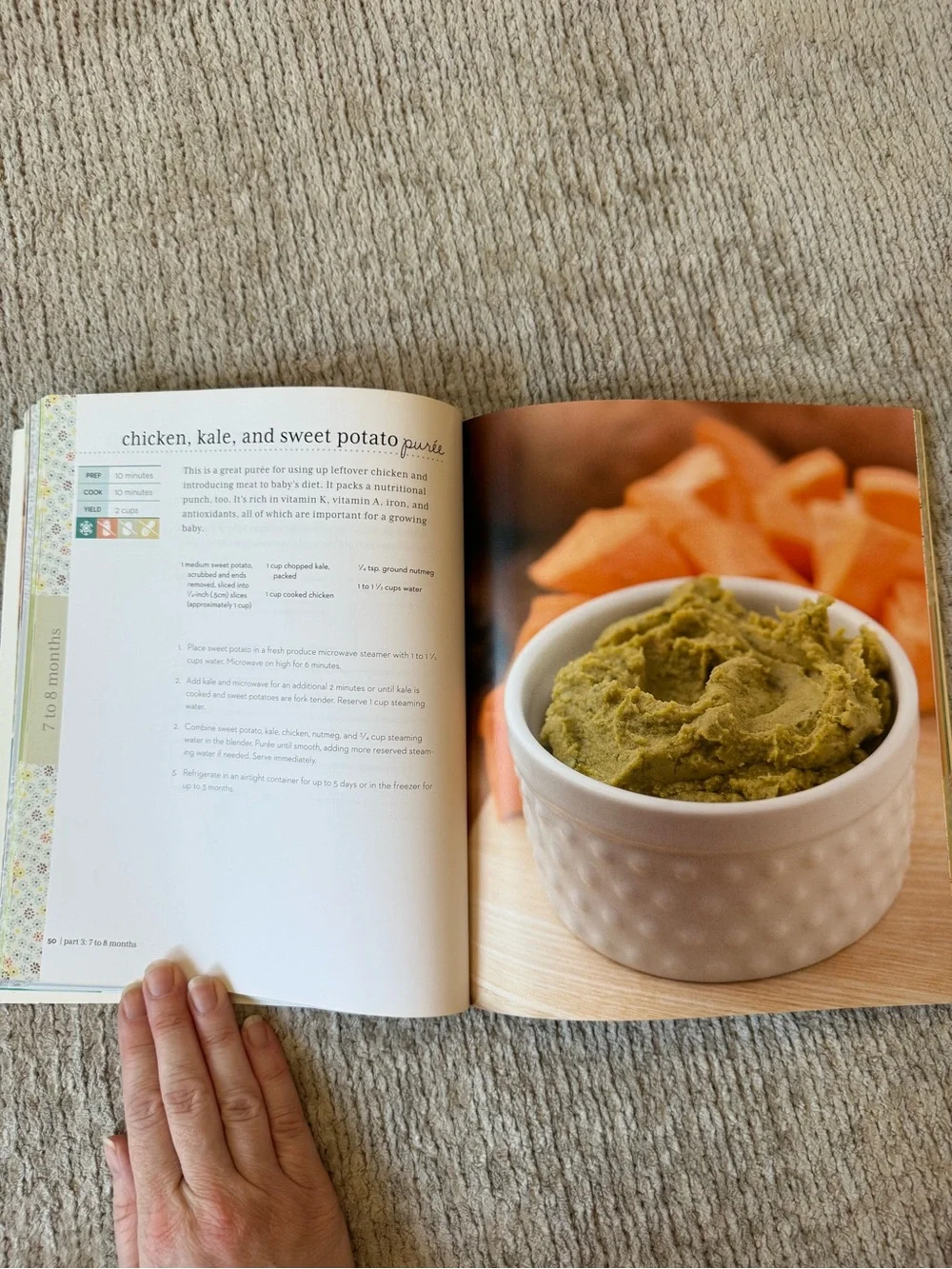 Idiot’s Guides Homemade Baby & Toddler Food Cookbook 100+ Recipes